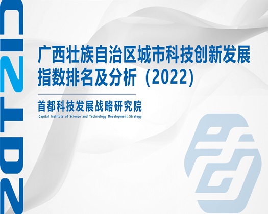 亚洲国产精品视频一区二区三区【成果发布】广西壮族自治区城市科技创新发展指数排名及分析（2022）